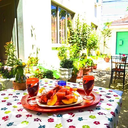 Pemaj Hostel Shkodër Exteriér fotografie