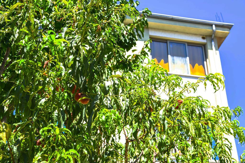 Pemaj Hostel Shkodër Exteriér fotografie